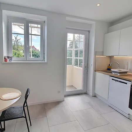 Renove A Avec Jardin Et Terrasse - Fr-1-722-11 * Κολμάρ