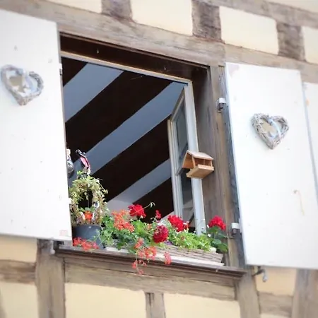 Renove A Avec Jardin Et Terrasse - Fr-1-722-11 Apartment *