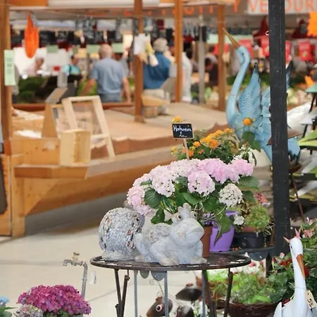 דירה Renove A Avec Jardin Et Terrasse - Fr-1-722-11 קולמר