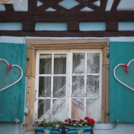 Renove A Avec Jardin Et Terrasse - Fr-1-722-11 דירה קולמר