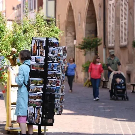 Renove A Avec Jardin Et Terrasse - Fr-1-722-11 Colmar