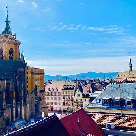 Apartment Renove A Avec Jardin Et Terrasse - Fr-1-722-11 Colmar