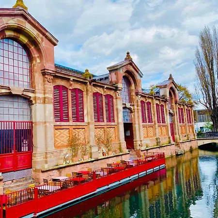 Renove A Avec Jardin Et Terrasse - Fr-1-722-11 דירה קולמר