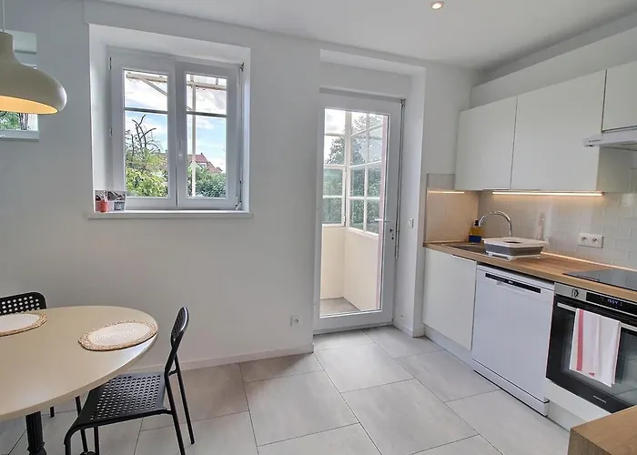 Renove A Avec Jardin Et Terrasse - Fr-1-722-11 * קולמר