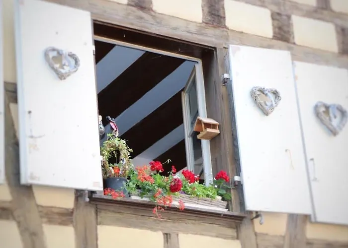 Renove A Avec Jardin Et Terrasse - Fr-1-722-11 Appartement *