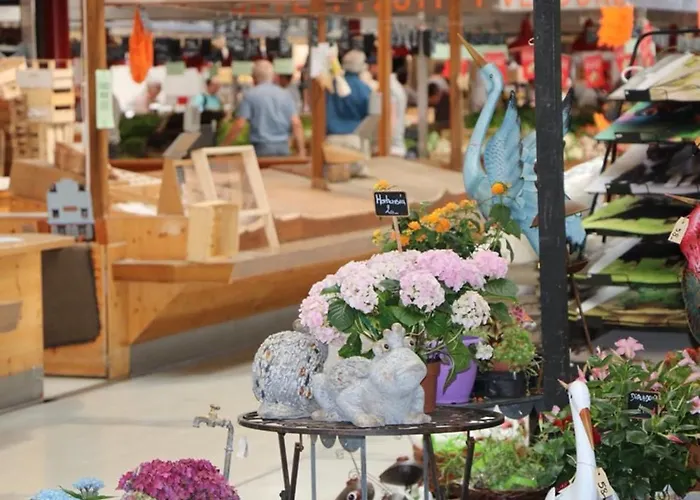 Apartman Renove A Avec Jardin Et Terrasse - Fr-1-722-11 Colmar