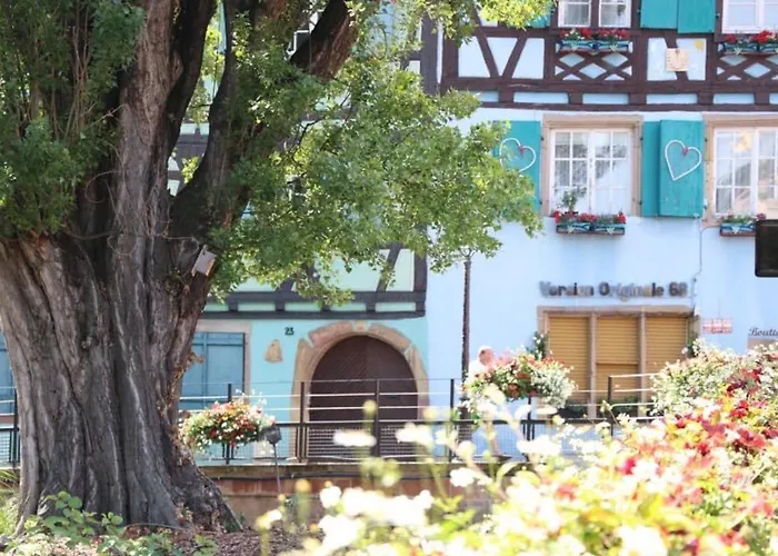 Apartman Renove A Avec Jardin Et Terrasse - Fr-1-722-11 *