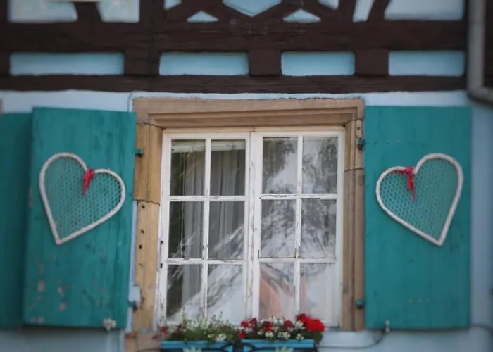 Renove A Avec Jardin Et Terrasse - Fr-1-722-11 דירה קולמר