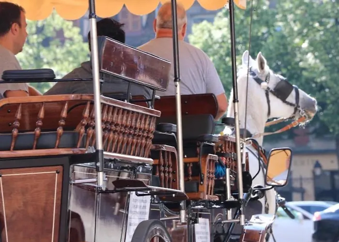 Renove A Avec Jardin Et Terrasse - Fr-1-722-11 דירה *