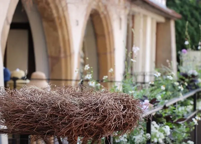 Renove A Avec Jardin Et Terrasse - Fr-1-722-11 * Colmar