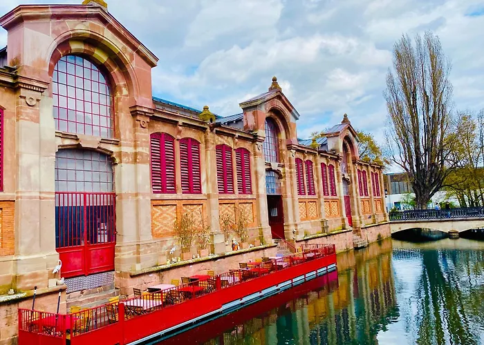 Renove A Avec Jardin Et Terrasse - Fr-1-722-11 דירה קולמר